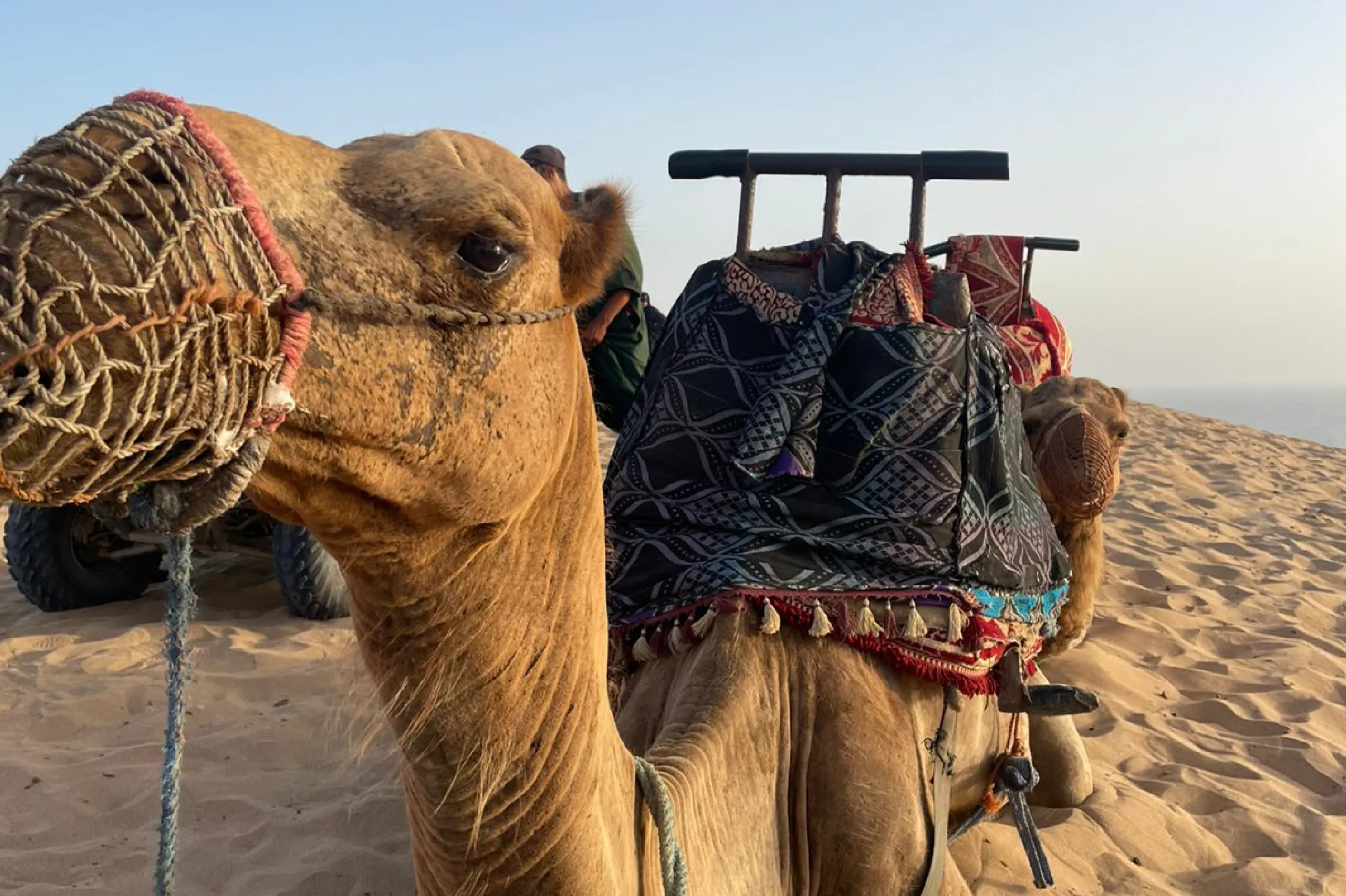 Sandboarding in Timlalin canyon (Timlaline canyons) dunes near Agadir